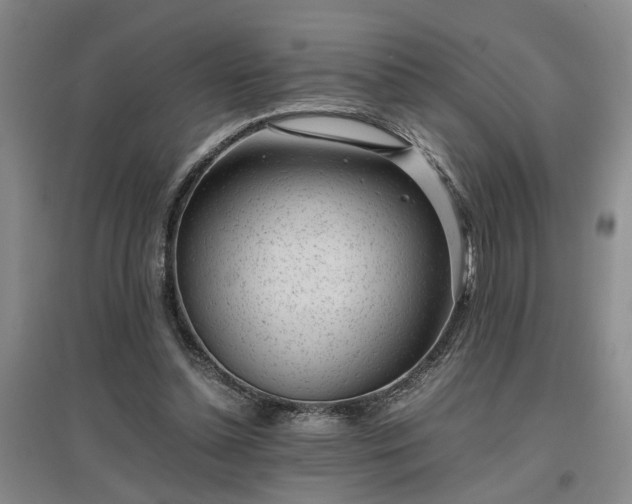 X0000097000348200802151419