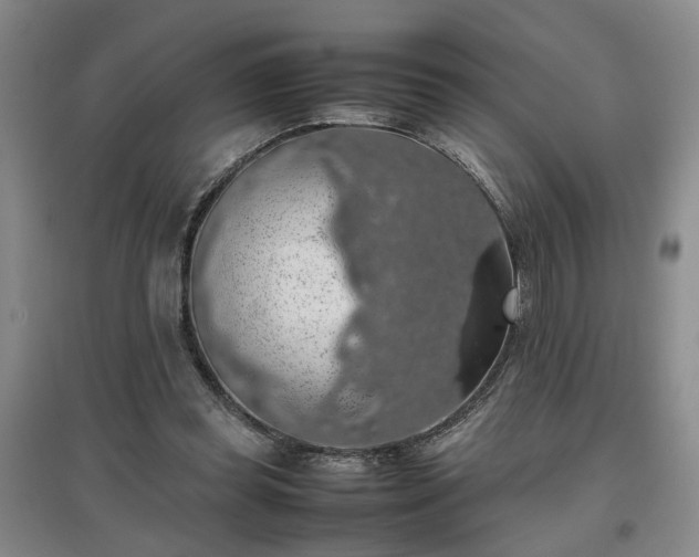 X0000097000349200802151419