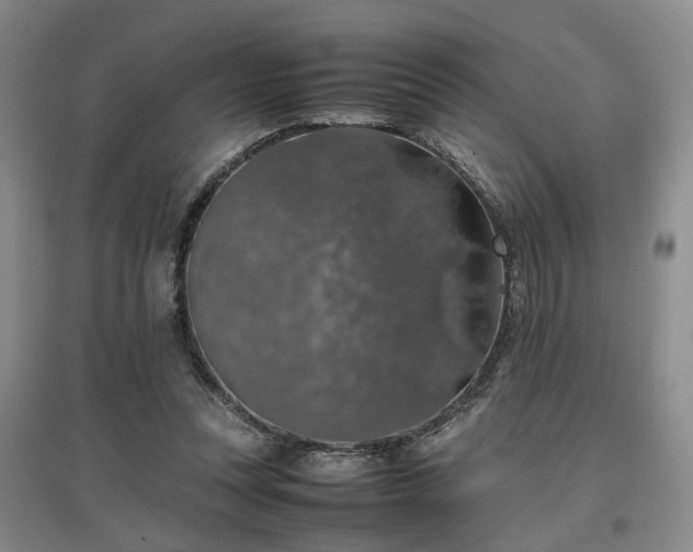 X0000097000351200802151419