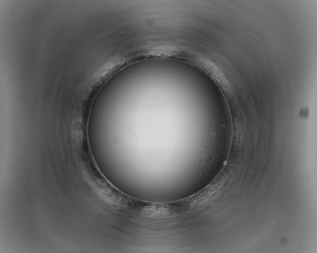 X0000097000354200802151419