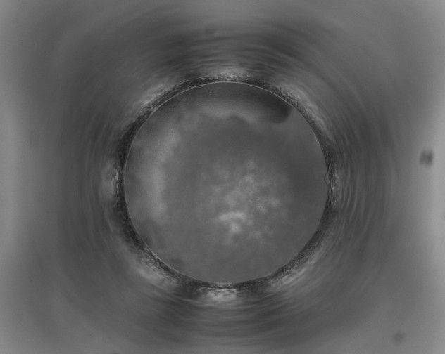 X0000097000355200802151419