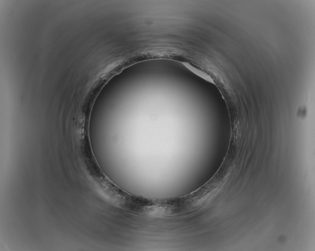 X0000097000356200802151419