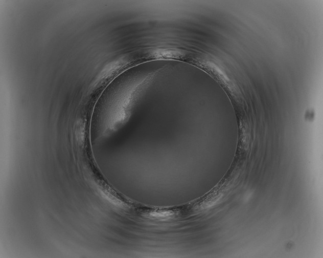 X0000097000357200802151419