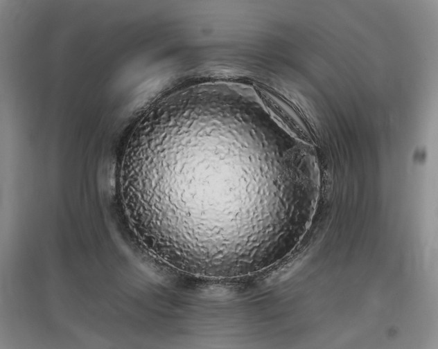 X0000097000358200802151419