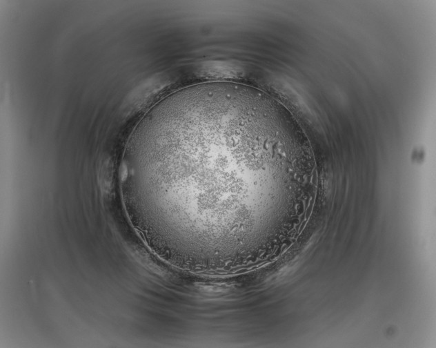 X0000097000359200802151419