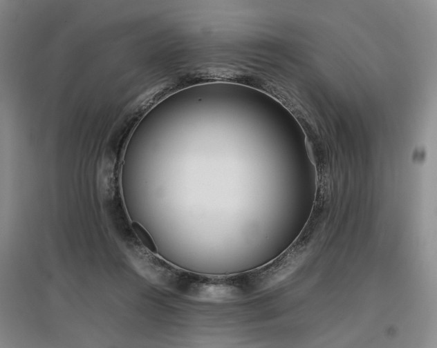 X0000097000360200802151419