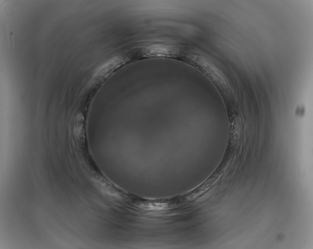 X0000097000361200802151419