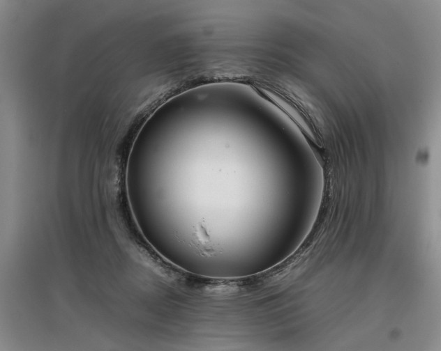 X0000097000362200802151419