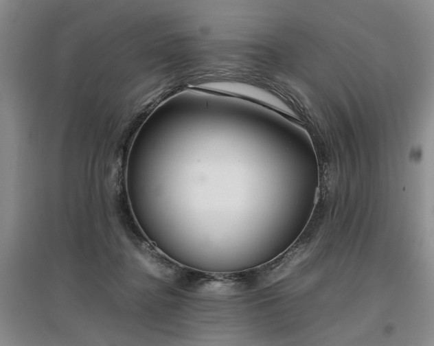 X0000097000364200802151419