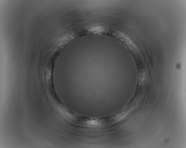 X0000097000365200802151419
