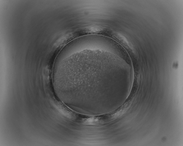 X0000097000366200802151419