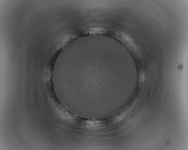 X0000097000367200802151419