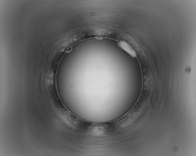 X0000097000368200802151419