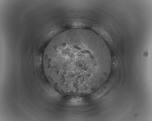 X0000097000369200802151419