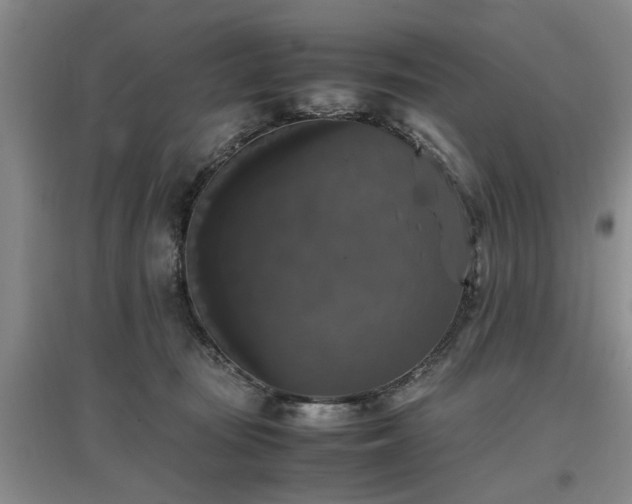 X0000097000371200802151419