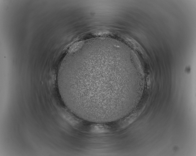 X0000097000372200802151419