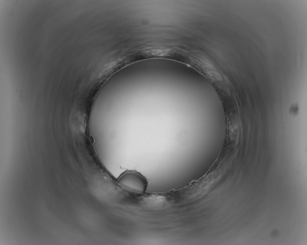 X0000097000374200802151419