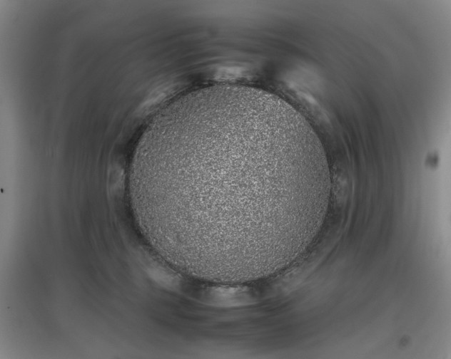 X0000097000375200802151419