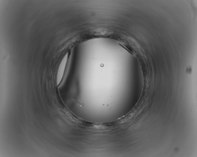 X0000097000376200802151419