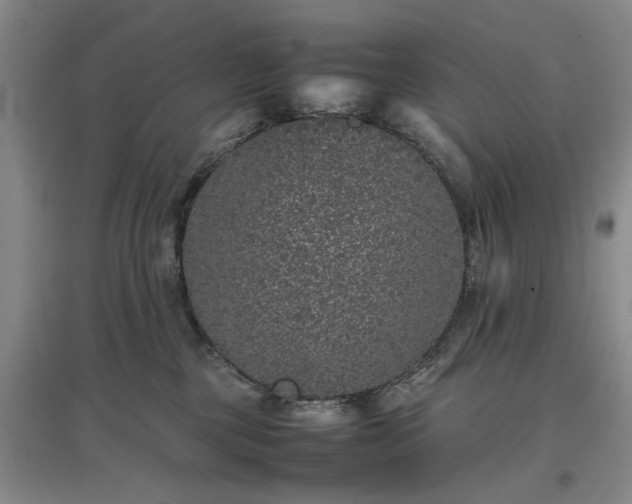X0000097000377200802151419