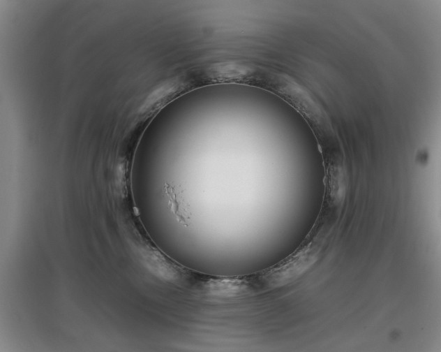 X0000097000378200802151419