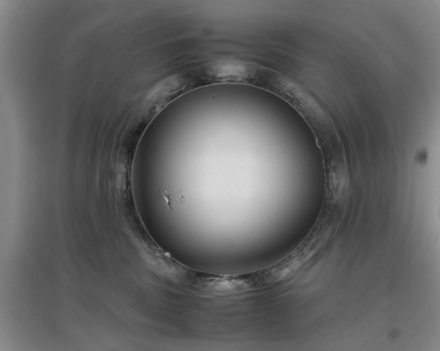 X0000097000379200802151419