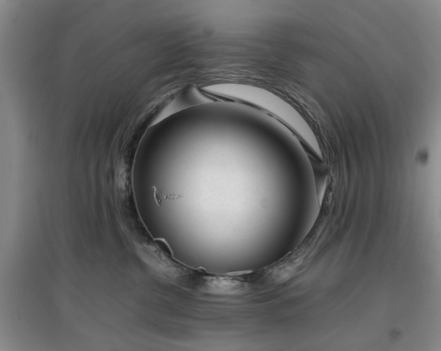 X0000097000380200802151419