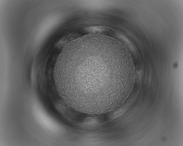 X0000097000381200802151419