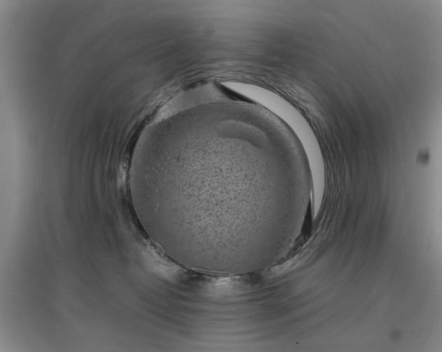 X0000097000382200802151419