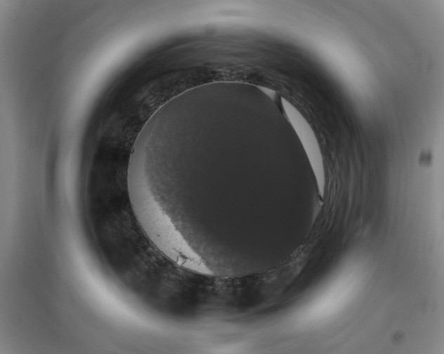 X0000097000383200802151419