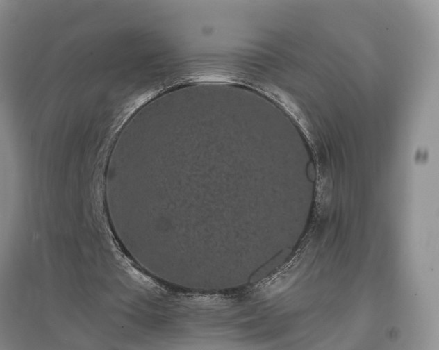 X0000097000385200802151419