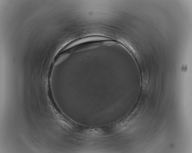 X0000097000386200802151419