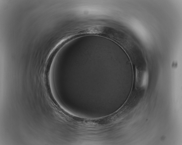 X0000097000387200802151419