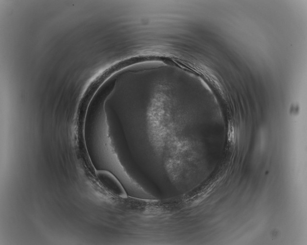X0000097000388200802151419