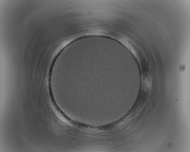 X0000097000389200802151419