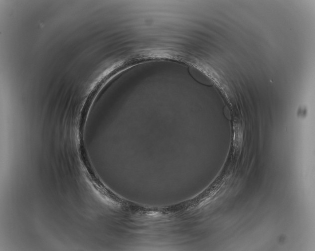 X0000097000390200802151419