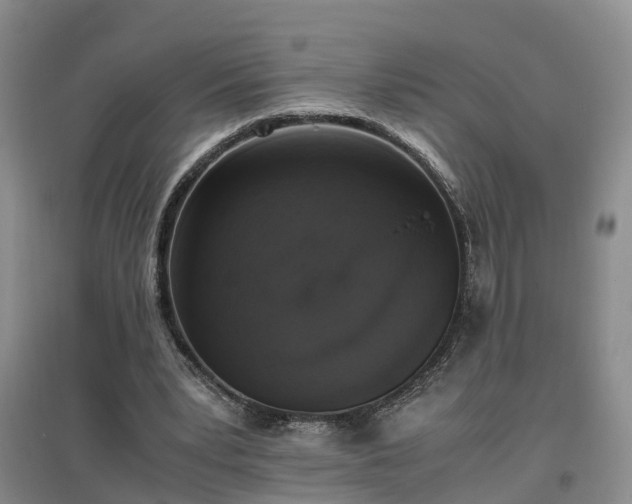 X0000097000391200802151419