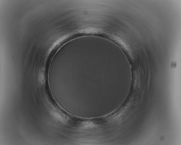 X0000097000392200802151419