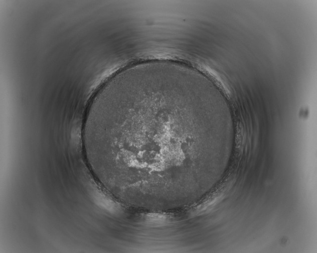 X0000097000394200802151419