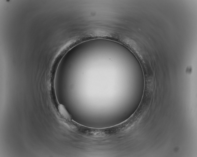 X0000097000395200802151419