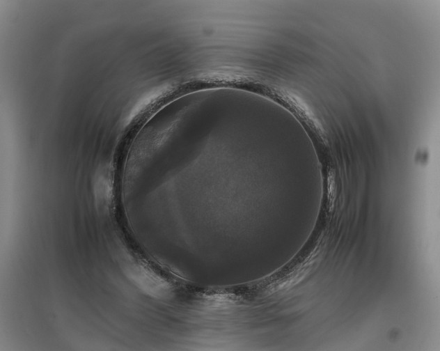 X0000097000396200802151419