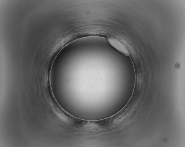 X0000097000397200802151419