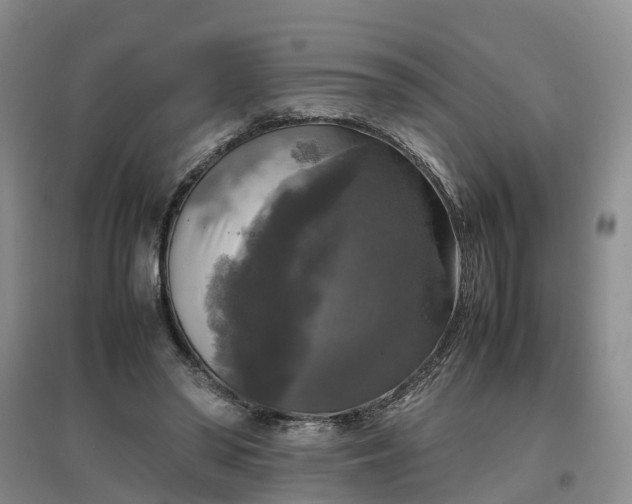 X0000097000398200802151419