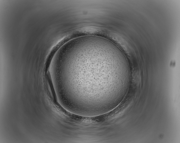 X0000097000399200802151419