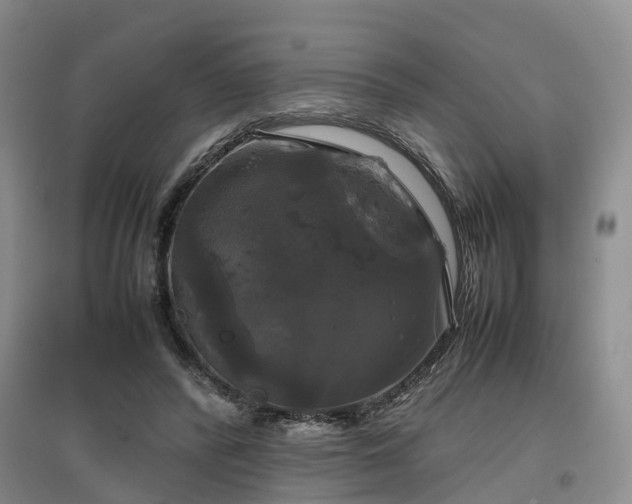 X0000097000400200802151419