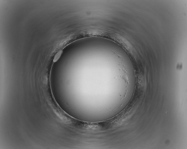 X0000097000401200802151418