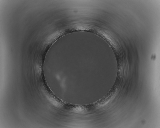 X0000097000402200802151418