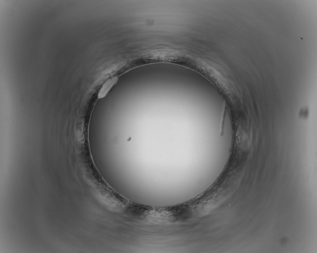 X0000097000403200802151418