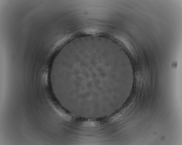 X0000097000404200802151418