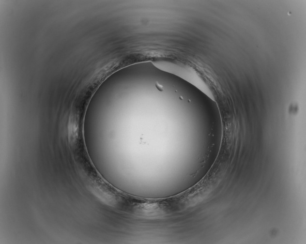 X0000097000406200802151418